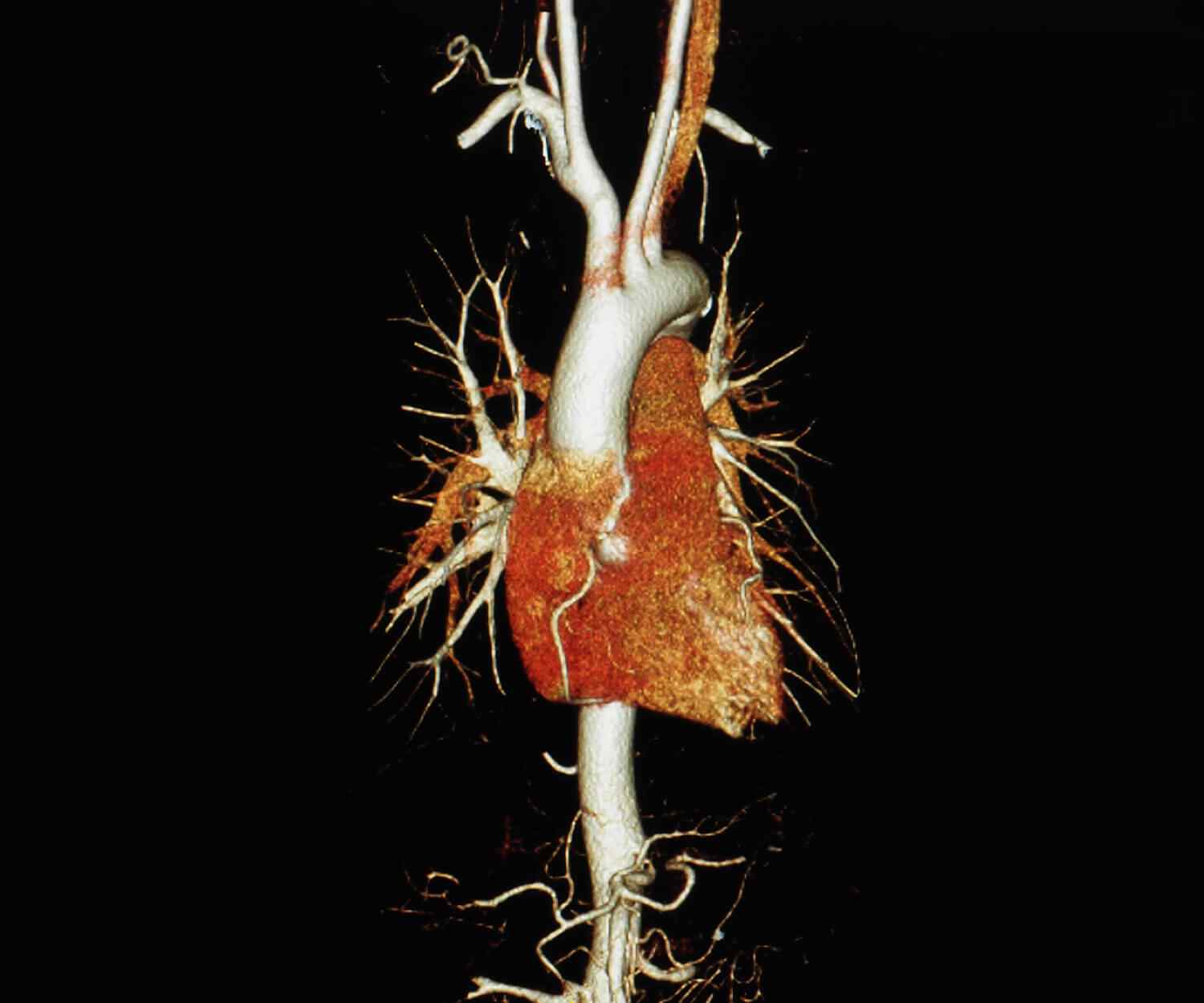 https://amcdayhospital.com.br/wp-content/uploads/2021/09/card_image_10.jpg