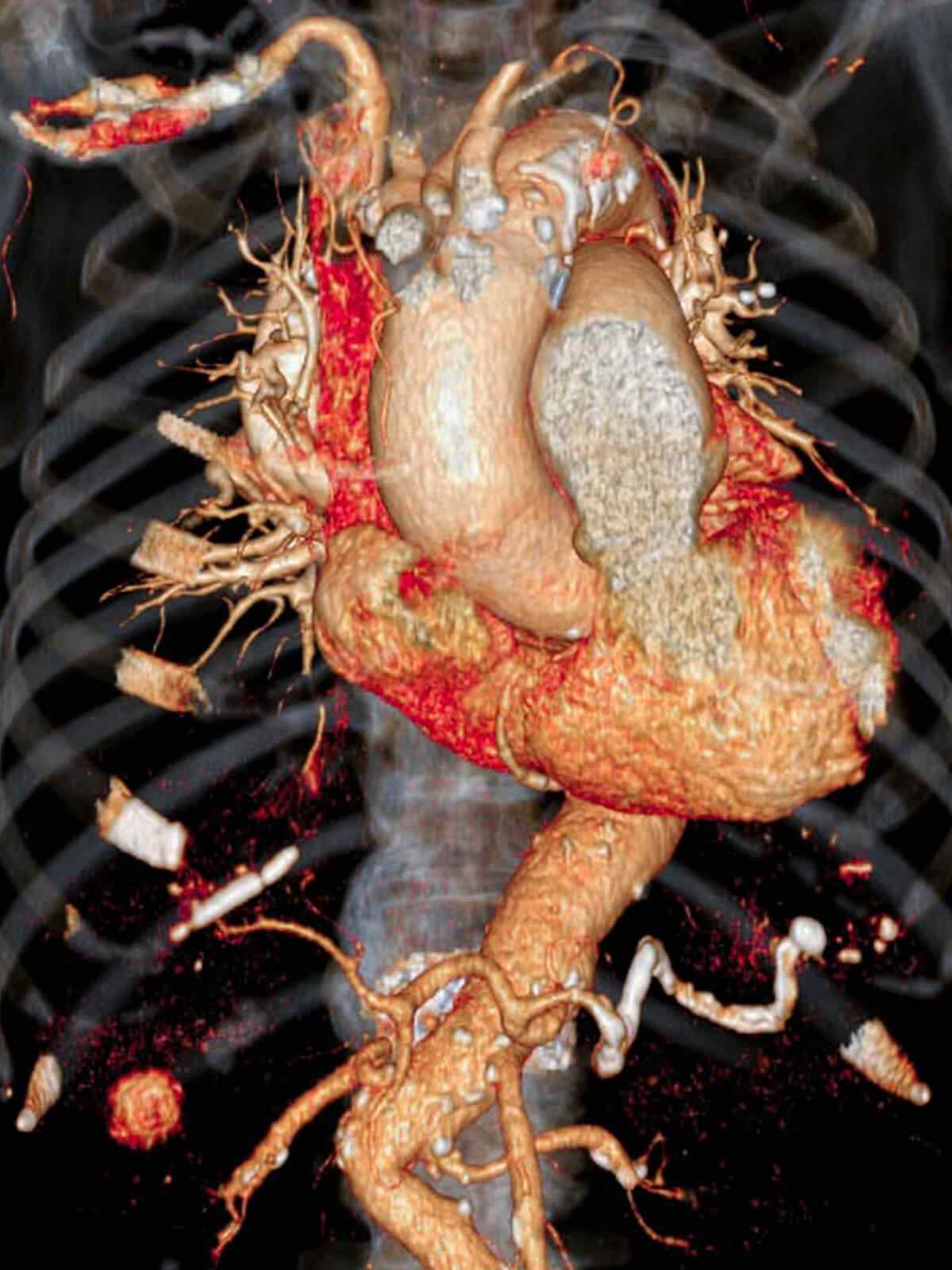 https://amcdayhospital.com.br/wp-content/uploads/2021/09/single_service_01.jpg