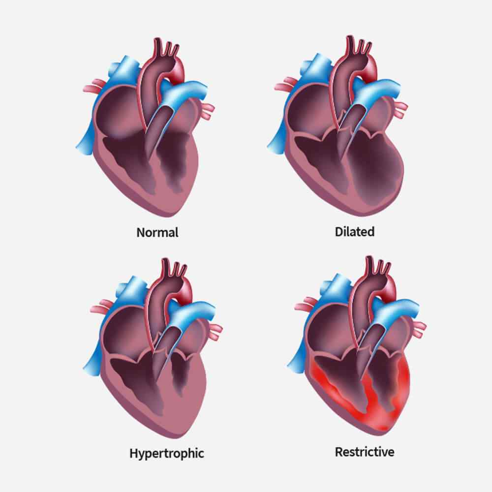 https://amcdayhospital.com.br/wp-content/uploads/2021/09/single_service_02.jpg